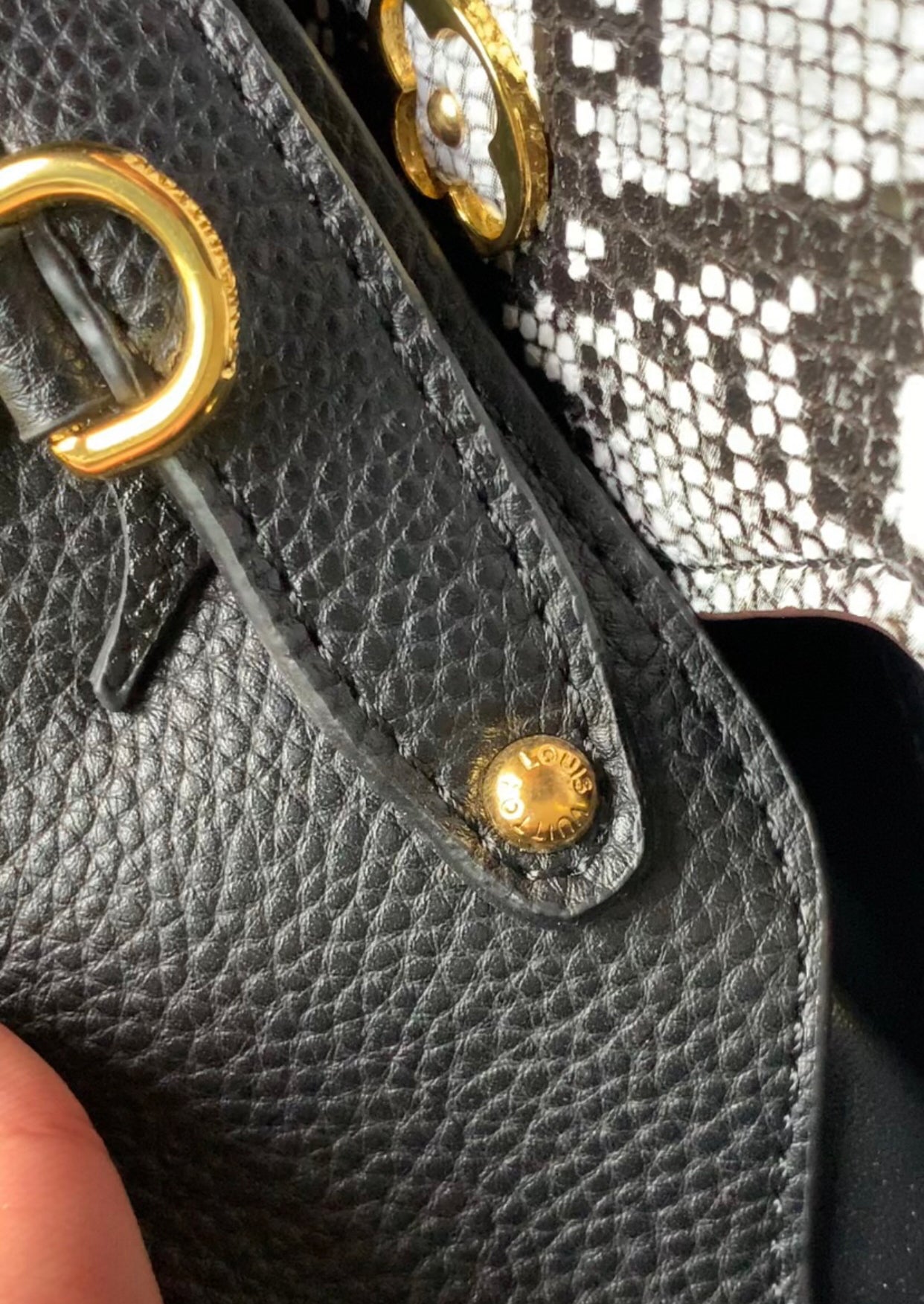 Louis Vuitton Hand Bag for women