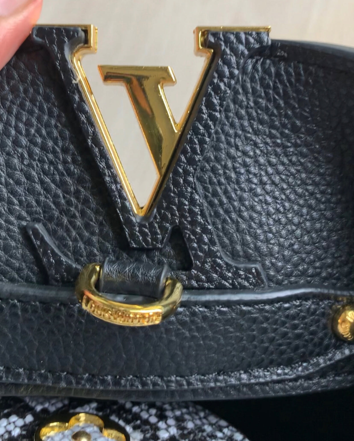 Louis Vuitton Hand Bag for women