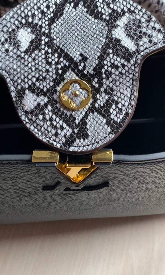 Louis Vuitton Hand Bag for women
