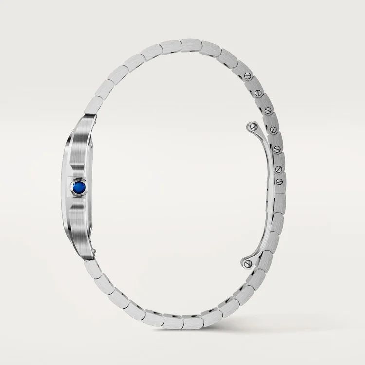 Santos de Cartier watch